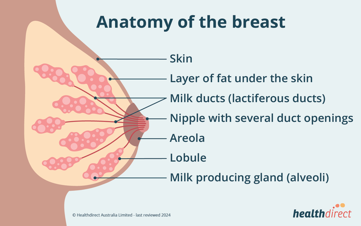Breast Cancer Surgery